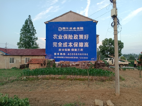 海宁墙体广告为何受追捧？