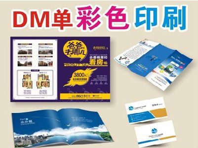 海宁单页印刷，色彩搭配简单。